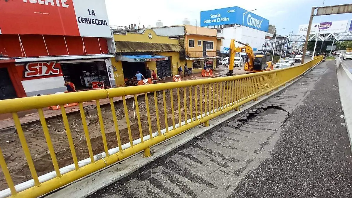 bache ruiz cortines